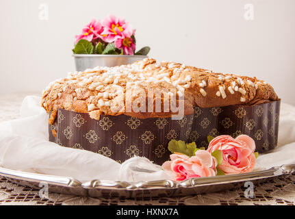 Colomba di pasqua su una scheda con tovaglia di pizzo e un vaso con primule. Foto Stock