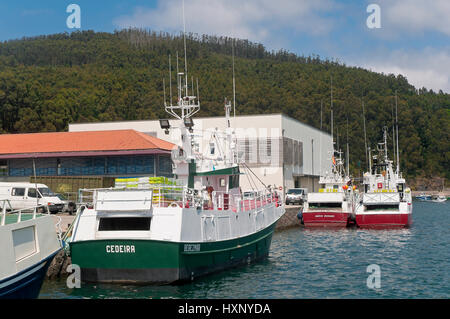 Porto di pesca, Cedeira, La Coruña provincia, regione della Galizia, Spagna, Europa Foto Stock