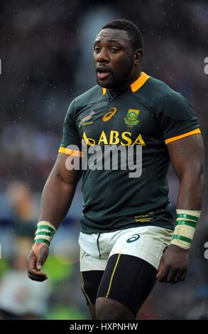 TENDAI MTAWARIRA SUD AFRICA RU SUD AFRICA RU TWICKENHAM Londra Inghilterra 15 Novembre 2014 Foto Stock