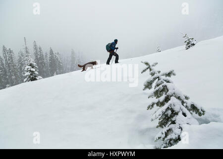 Uno sciatore e il suo cane salendo una pendenza sui fianchi del monte Hood, Oregon, Stati Uniti. Foto Stock