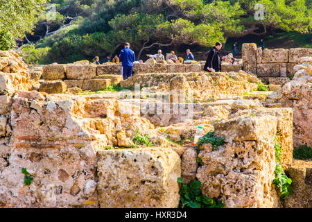 Cosa segnaletica vi è a Tipaza/Tipasa Parco Archeologico compare in francese, così per la lingua inglese i visitatori, un tour guidato di questi notevoli anci Foto Stock