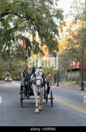 Un cavallo tirando un carrello attraverso il Quartiere Storico di Savannah, Georgia. Foto Stock