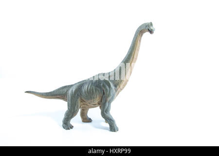 Green Brachiosaurus altithorax dal tardo Jurassic corpo pieno sfondo bianco Foto Stock