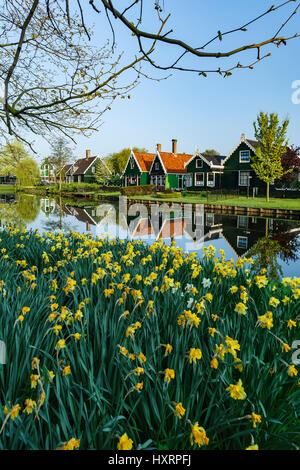 Le case si riflette sul canal, Zaanse Schans open-air museum, Paesi Bassi Foto Stock