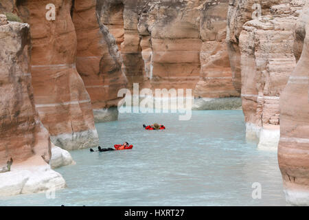 Rafters in Havasu Creek, il Parco Nazionale del Grand Canyon, Arizona, Stati Uniti. Foto Stock