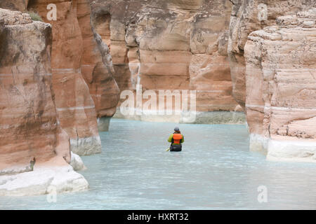 Un puntone in Havasu Creek, il Parco Nazionale del Grand Canyon, Arizona, Stati Uniti. Foto Stock