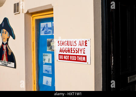 Gabbiani sono segno aggressivo gabbiani Inghilterra Regno Unito GB Gran Bretagna Foto Stock