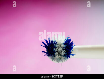 Close-up sulla parte superiore della testa di un usurato bianco e blu di testa di uno spazzolino da denti elettrico contro gradiente di colore rosa Foto Stock