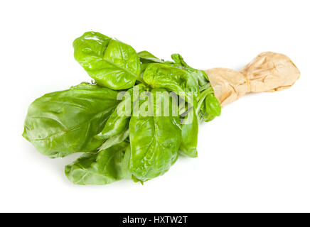 Mazzetto di basilico con carta isolato su sfondo bianco. Foto Stock