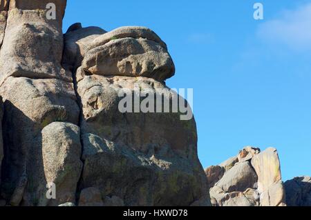 Paesaggio in Gorkhi Terelji National Park, Mongolia Foto Stock