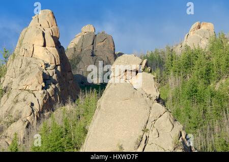 Paesaggio in Gorkhi Terelji National Park, Mongolia Foto Stock