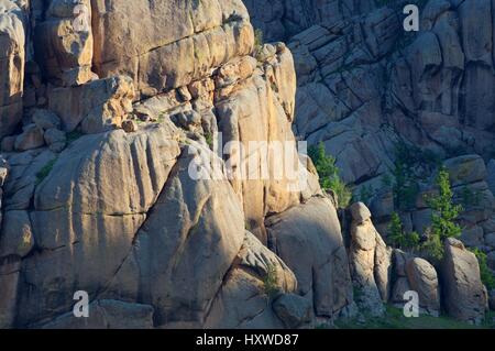 Paesaggio in Gorkhi Terelji National Park, Mongolia Foto Stock