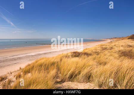 Dune sulla costa di sorede in Zeeland, Paesi Bassi. Foto Stock