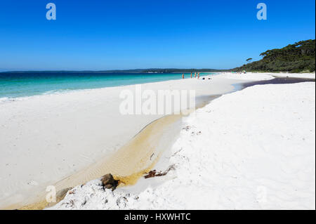 Hyams Beach è una spettacolare tratto di Jervis Bay con sabbia bianca e finissima, Nuovo Galles del Sud, NSW, Australia Foto Stock