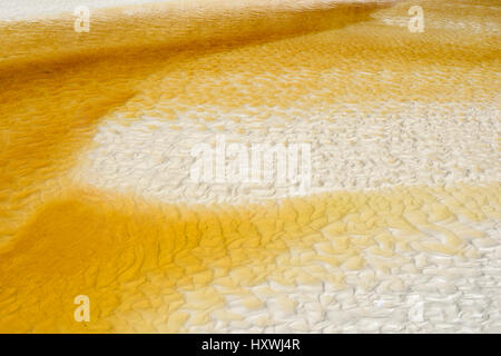 Abstract colpo di un tannino-colorate creek a Patch Verde Beach, una pittoresca spiaggia di fine sabbia bianca in Jervis Bay, Booderee National Park, NSW, Australia Foto Stock