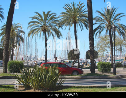 PALMA di Maiorca, isole Baleari, Spagna - 29 Marzo 2017: Paseo Maritimo traffico, palme e marina il 29 marzo 2017 a Palma di Maiorca, Baleari Foto Stock