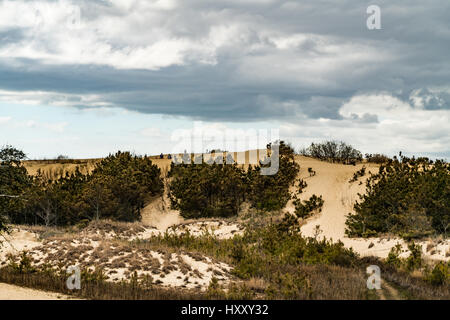 Le dune a Jockey Crinale del Parco dello Stato sono le più grandi naturali dune di sabbia sulla costa orientale. Esse sono situate a Nag Testa, NC. Foto Stock