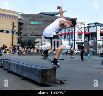 Wellington, Nuova Zelanda - 10 Febbraio 2017: il giovane guidatore di skateboard è fare trucchi di pattinaggio presso il lungomare di Wellington. Foto Stock