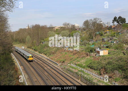 I treni passano assegnazioni pubblica accanto alla linea ferroviaria in Brockley, a sud-est di Londra - dove i residenti locali crescere frutta e verdura. Foto Stock