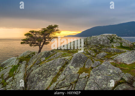 Whytecliff Park di West Vancouver, bel posto per un giorno di viaggio intorno Vancouver, BC, Canada. Foto Stock