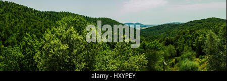 Vista panoramica della verde collina di laminazione nella campagna toscana in Italia Foto Stock