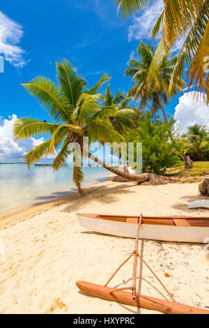 Les Tipaniers, Tiahura, Moorea, Polinesia Francese Foto Stock