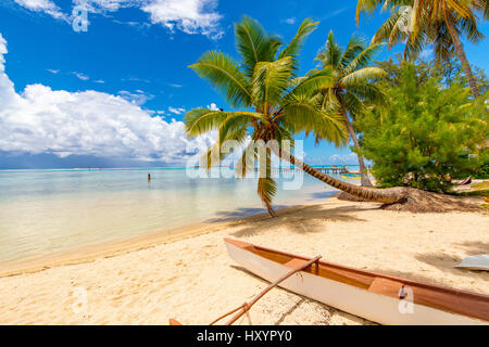 Les Tipaniers, Tiahura, Moorea, Polinesia Francese Foto Stock