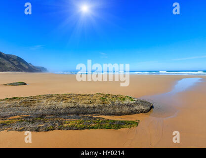 Sunshiny estate spiaggia sabbiosa (Algarve, Costa Vicentina, Portogallo). Foto Stock