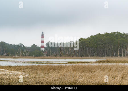 Assateague Island luce si affaccia sulla Palude Salata nei pressi della Virginia, Maryland confine. Foto Stock