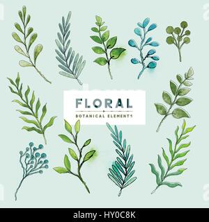 Una collezione di botanica floreali piante e arbusti in acquerello e inchiostro. Illustrazione Vettoriale Illustrazione Vettoriale