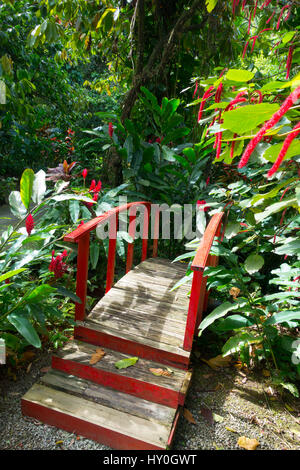 Rosso giapponese-ponte in stile nel diamante cade Giardini Botanici a Soufriere su Saint Lucia nei Caraibi Foto Stock