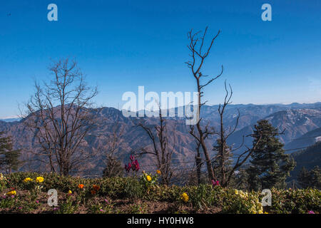 Montagne, mashobra, Himachal Pradesh, India, Asia Foto Stock