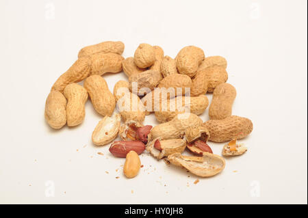 I dadi di scimmia, su sfondo bianco Foto Stock