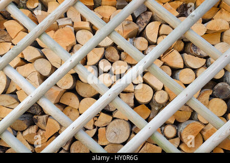 Sullo sfondo di una catasta di legna da ardere impilate ordinatamente dietro una recinzione di legno Foto Stock