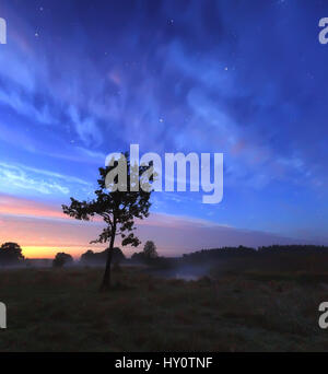 Blu cielo stellato sulle misty meadow al crepuscolo. Bella scena notturna con le stelle e le nuvole in cielo. Sun inizia a illuminare orizzonte dal colore rosso. Colorfu Foto Stock