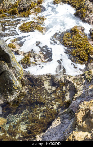 Le acque cristalline di un pool di marea vicino il restante ponte naturale su Aruba North Shore. Foto Stock