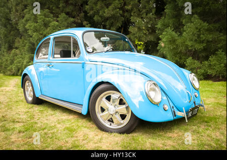 Winnersh, Regno Unito - 18 Maggio 2013: personalizzato terminato classic VW Beetle Mk I in Winnersh, REGNO UNITO Foto Stock