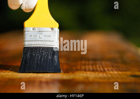 Pennello scorrimento su una superficie di legno, la protezione del legno per influenze esteriori, agenti atmosferici, insetti e funghi. Carpenteria in legno, home improvement Foto Stock