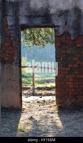 Le superfici interne di una vecchia casa abbandonata Foto Stock