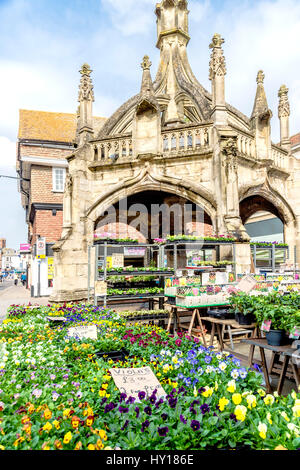 Salisbury, pollame Cross presso la piazza del mercato Foto Stock