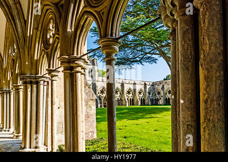 La Cattedrale di Salisbury, chiostro; Kreuzgang der Kathedrale von Salisbury Foto Stock