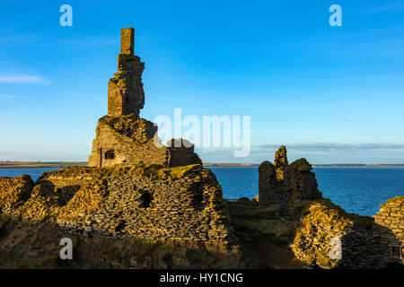 Castello Sinclair Girnigoe, Noss Testa, vicino a Wick, Caithness in Scozia, Regno Unito Foto Stock