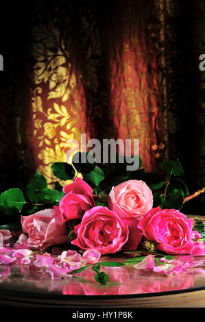 Roses Stil life romanticismo rosepetals fresco fiore flora rosa colore colori decorazione ombra abbondante, arrangiamento, arte, artistica, bella, bouque Foto Stock