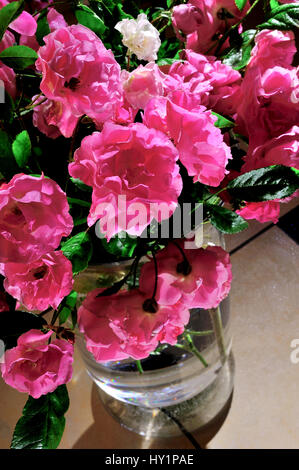 Roses Stil life romanticismo rosepetals fresco fiore flora rosa colore colori decorazione ombra abbondante, arrangiamento, arte, artistica, bella, bouque Foto Stock