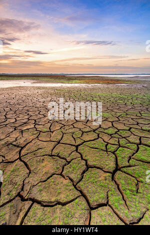 La mancanza di acqua nel serbatoio di campi dopo la pioggia non per un lungo periodo di tempo. Foto Stock