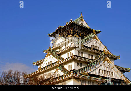 Immagine della torre principale del Castello di Osaka; originariamente chiamato Ozakajo, è uno del Giappone più famosi castelli. Il castello contiene tredici Foto Stock