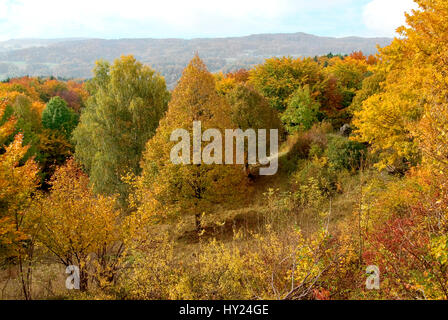 Farbenfrohe Herbstlandschaft im NaturparkFraenkische Alb in der NÃ¤egli der Burg Hohenstein in Bayern. Colorato paesaggio autunnale al Mou Frankonian Foto Stock