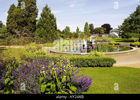 Im bekannten Botanischen Garten der Universitaetsstadt Cambridge in Inghilterra. Foto Stock