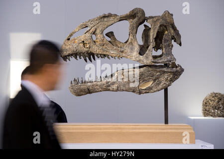 Hong Kong, Hong Kong, Cina. 31 Mar, 2017. Highlights della molla vendite includono un Allosaurus cranio in mostra durante la vendita di anteprime in Hong Kong, Hong Kong, Cina il 31 marzo 2017. Sotheby's Hong Kong vendita di Primavera di anteprima si apre al centro convegni ed esposizioni di Hong Kong. Credito: Jayne Russell/ZUMA filo/Alamy Live News Foto Stock