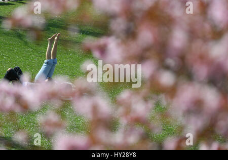 Una donna si trova in un parco circondato da alberi in fiore in una giornata di sole in Frankfurt am Main, Germania, 30 marzo 2017. Foto: Arne Dedert/dpa Foto Stock